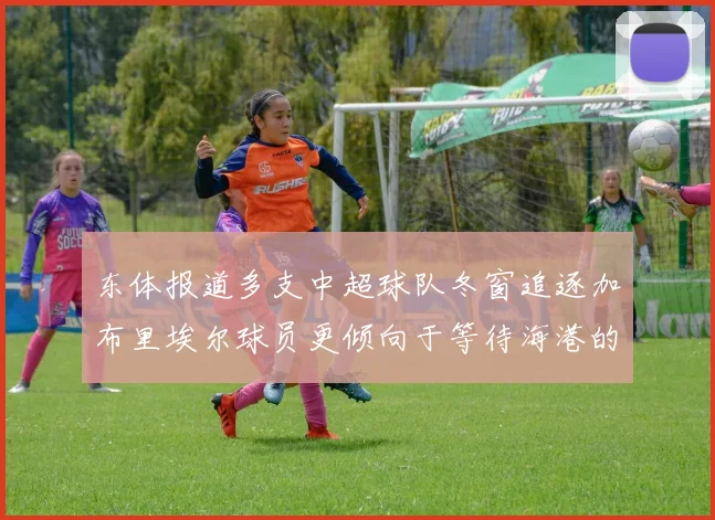 东体报道多支中超球队冬窗追逐加布里埃尔球员更倾向于等待海港的机会